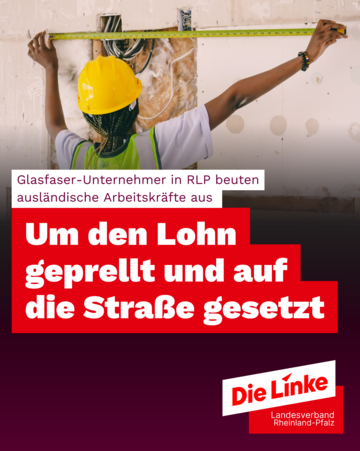 Kopie von Kopie von Kopie von PRESSEMELDUNG - 1
